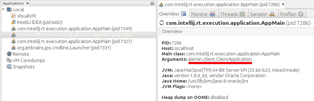 Java process overview in jVisualVM.